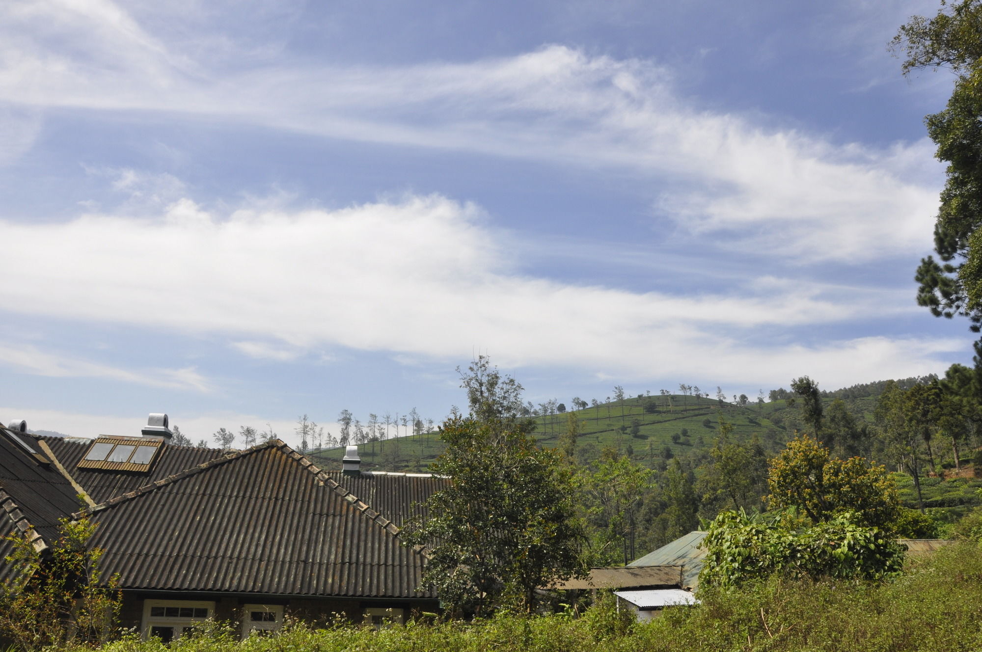 Scottish Planter Bungalow- Thema Collection Nuwara Eliya Exterior foto